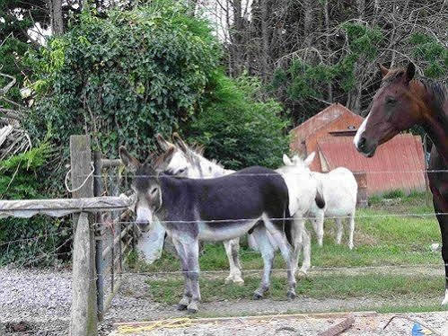 New Barn Cottage B&B Taunton Εξωτερικό φωτογραφία